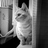 DSCF0015