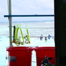 snorkel