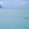 sea