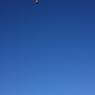 Balloon Fiestaへ行こう！