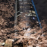 桜ヒルズ