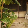 P3220086