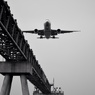 飛行機