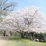 ふたりの世界