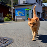 ずんずんずん