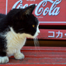 赤ベンチの上で