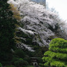 IMGP8526