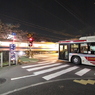 中野通りの踏切にて桜