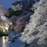 千鳥が淵の夜