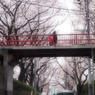 桜坂