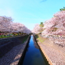 善福寺川緑地公園