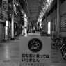 DSCF4431