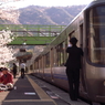 お花見ステーション