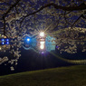 桜橋