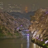 雨に霞む
