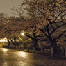 雨の夜