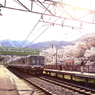 お花見ステーション　２
