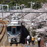 お花見ステーション　３