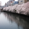 両岸の春
