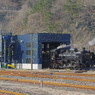 C58239の塒