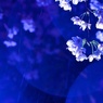冷たい..雨