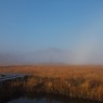 朝霧の尾瀬ヶ原(白虹の向こうの至仏山)