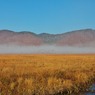 朝霧の尾瀬ヶ原(残霧2)