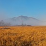 朝霧の尾瀬ヶ原(霧に浮かぶ至仏山2)
