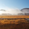 朝霧の尾瀬ヶ原(上昇する霧)