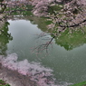 雨上がりの淵