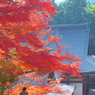 神護寺