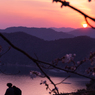 桜色に染まるふたつの心