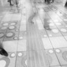 皆何処へ、、、