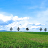 北海道