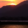 DSCF0300_
