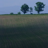 DSCF0416_