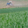 DSCF0442_