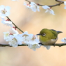 旬の香りは?