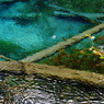 DSCF1378