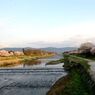 京都・桜浪漫譚Ⅰ（加茂川）