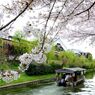 京都・桜浪漫譚Ⅲ（伏見酒蔵と十石船）