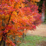 20091028-DSC07781