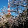 春彩