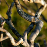 20091104-DSC08216b