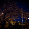 夜、ひっそりと。
