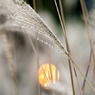20091029-DSC07905b