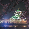 一夜城の夜桜見物（END）