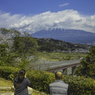 春の富士山にみとれる