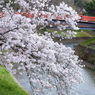 竜田川_01