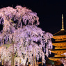 東寺ライトアップ